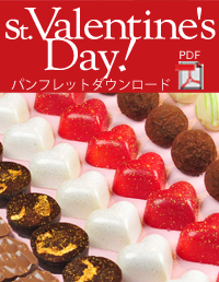 バレンタイン2012パンフレットDL